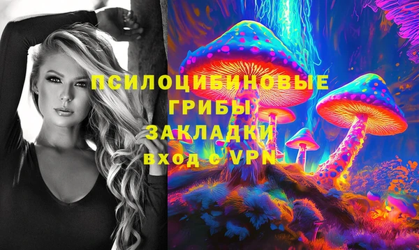 крисы Алексеевка
