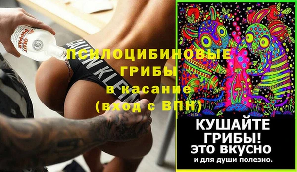 дурь Алексин