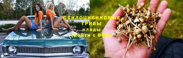 Альфа ПВП Алзамай